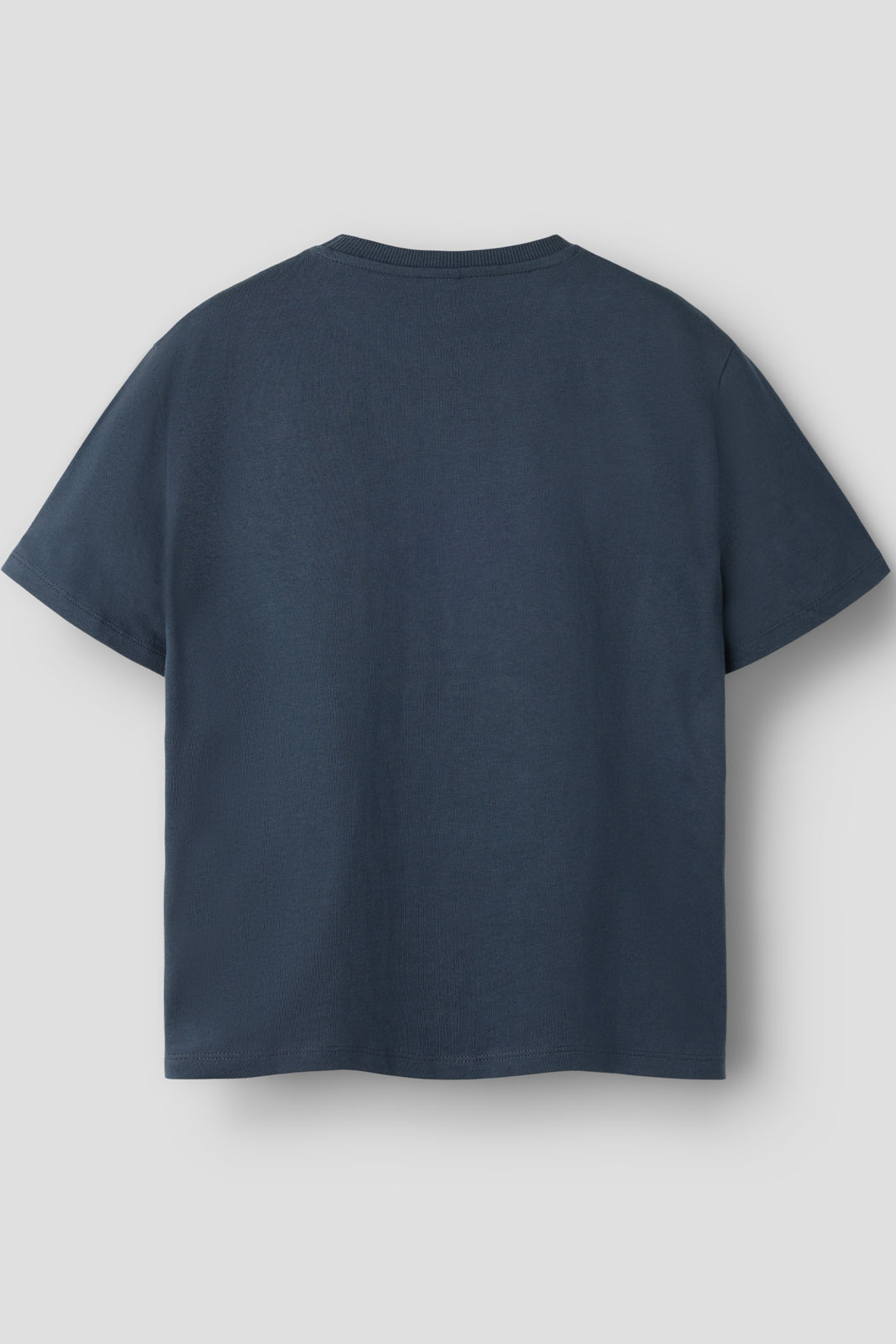 NKMPROLEM SS NREG TOP