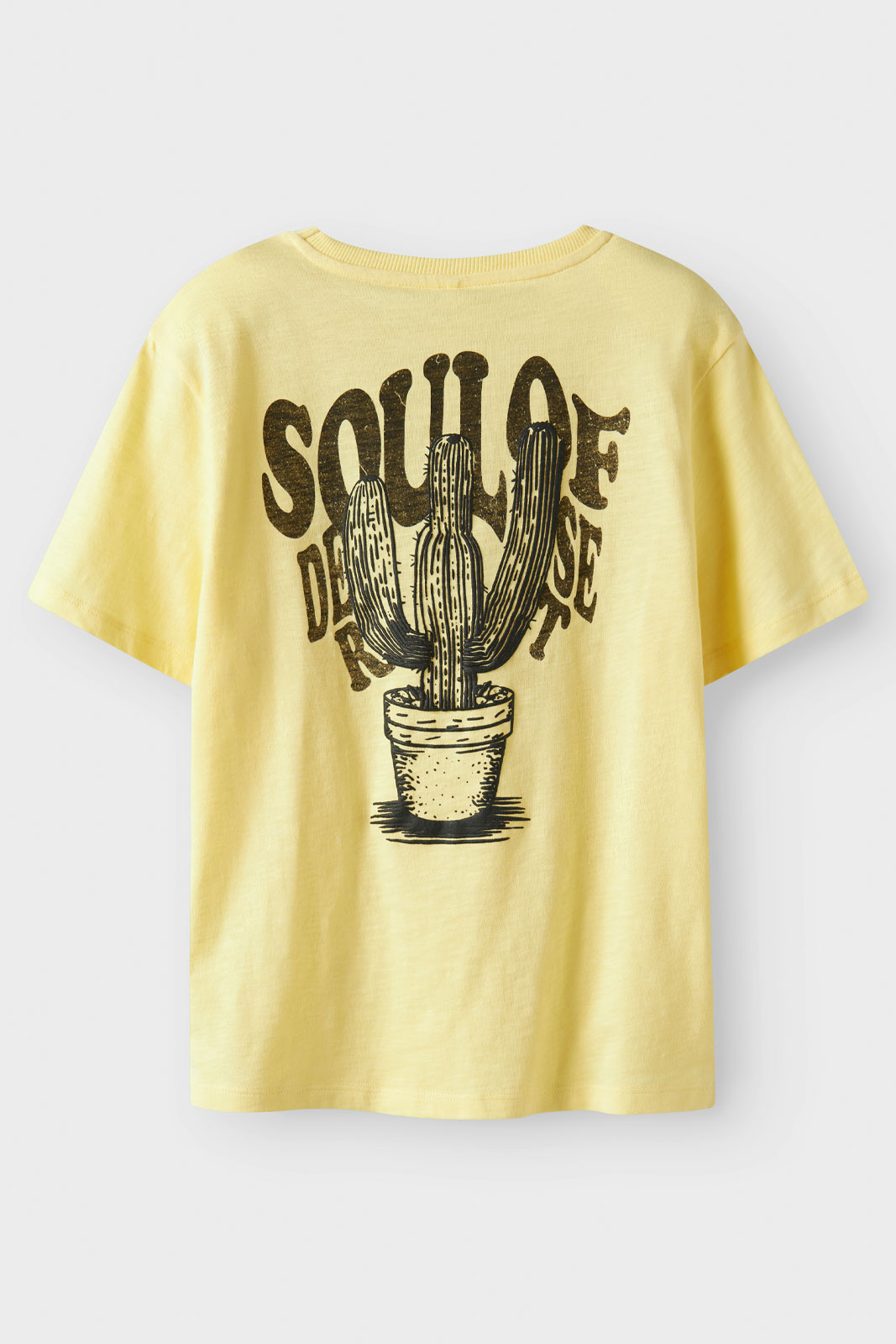 NKMJOKIK SS NREG TOP