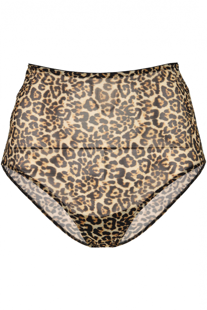 Mesh Highwaist Briefs