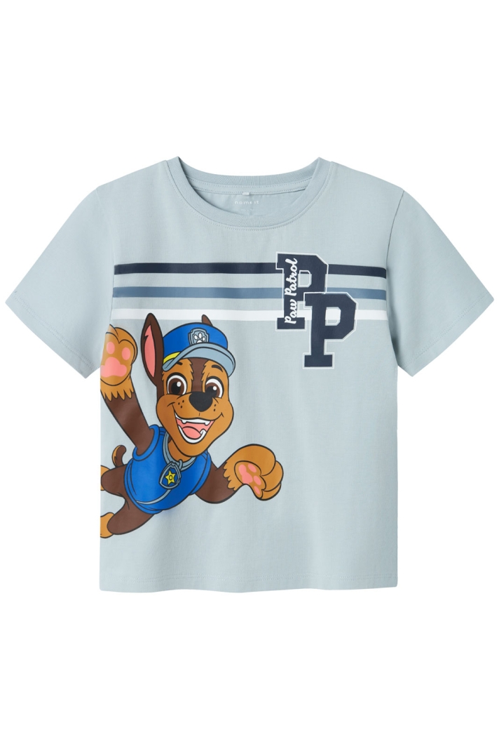 NMMMARK PAWPATROL NREG SS TOP BOX CPLG