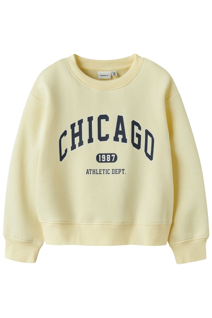 NKFFABIA LS NREG SWEAT BRU