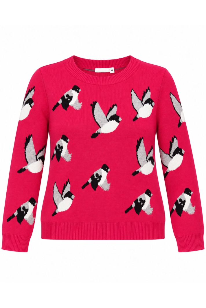 Mingel More Sweater Birds
