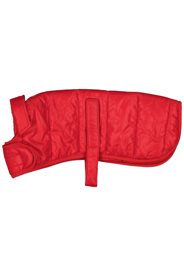 Barbour Baf Qu Dog C