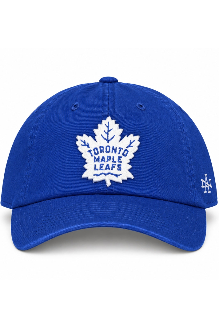 Toronto Maple Leafs Ballpark