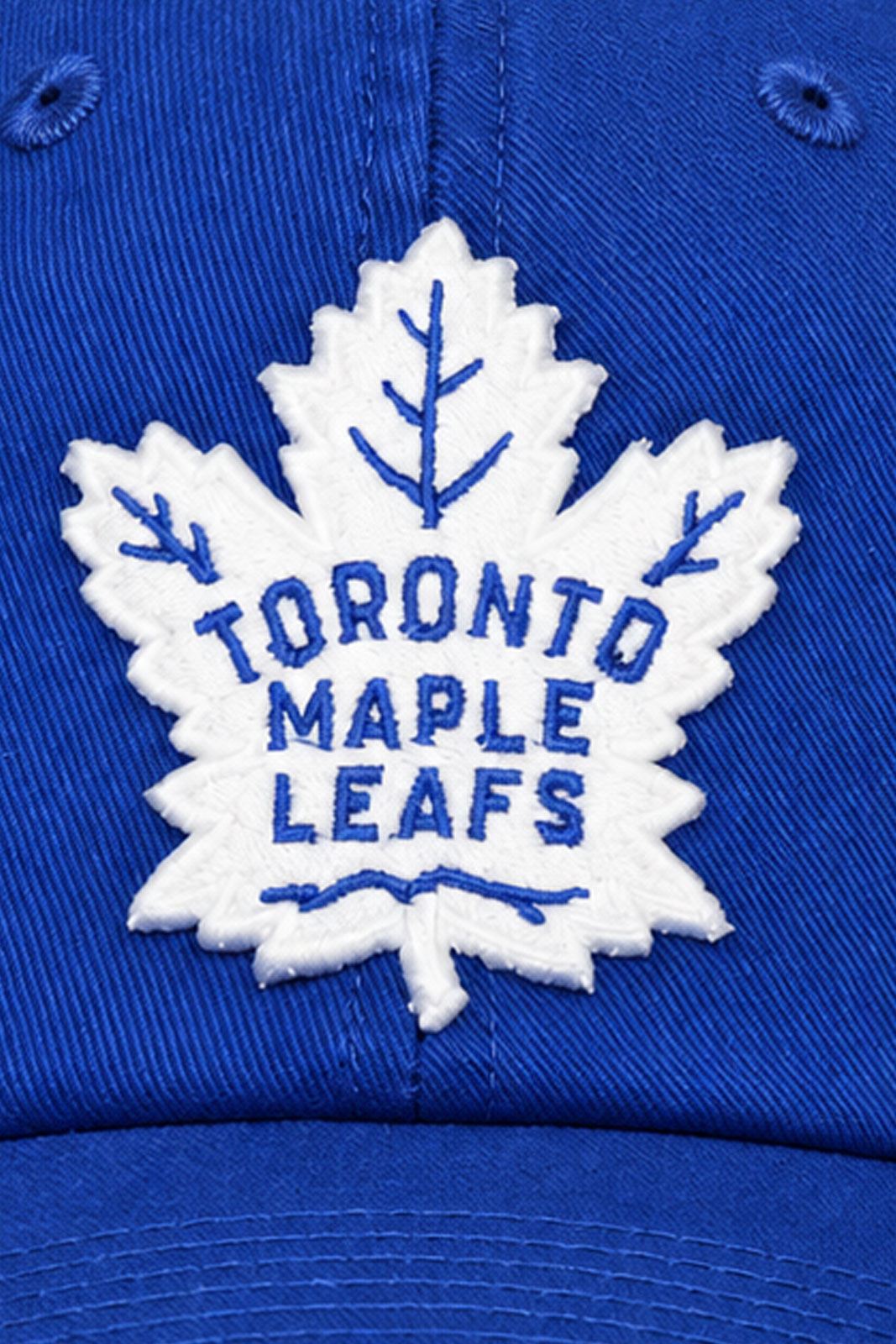 Toronto Maple Leafs Ballpark