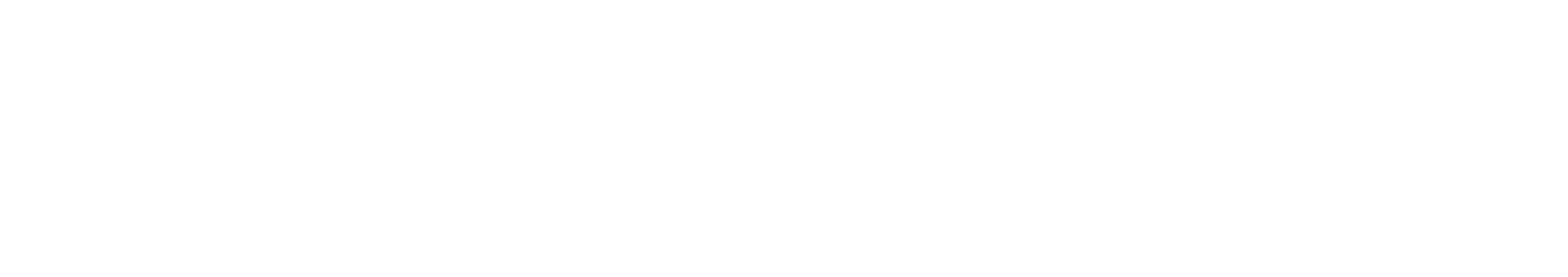 BlundStone