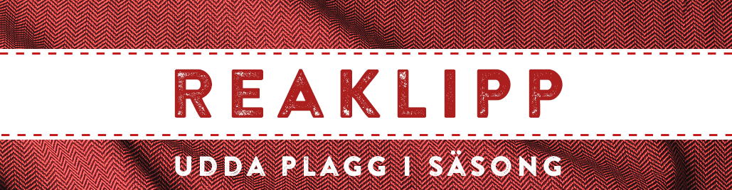 Reaklipp